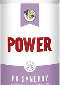 PK Synergy
