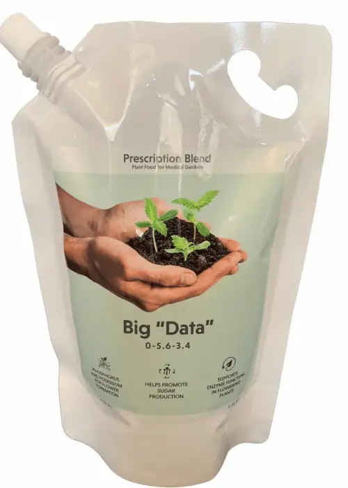 Big Data