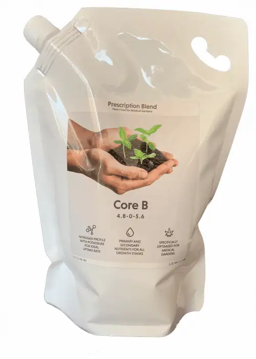 Core B