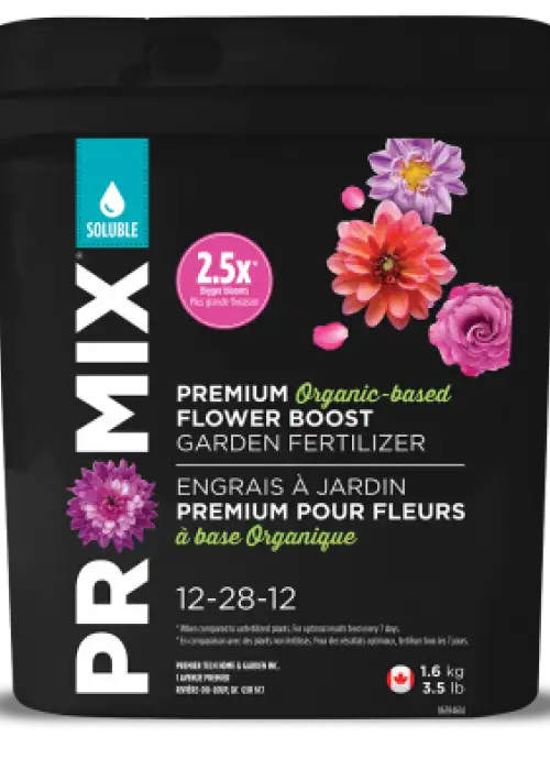Flower Boost 12-28-12