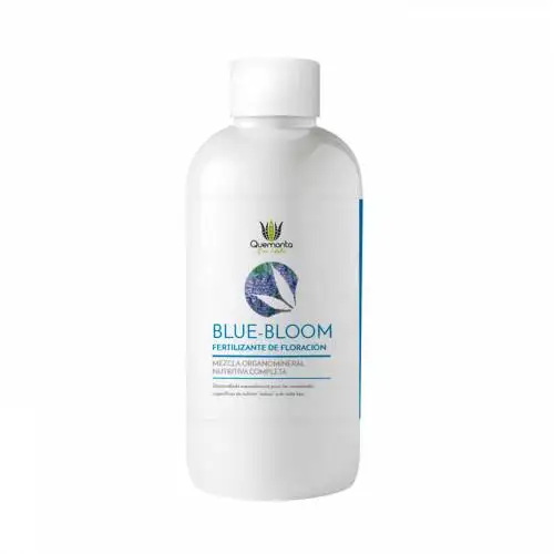 Blue Bloom