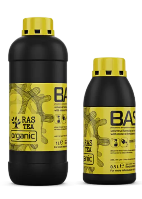 Base