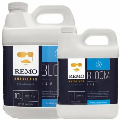 Remo Bloom
