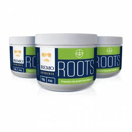 Remo Roots