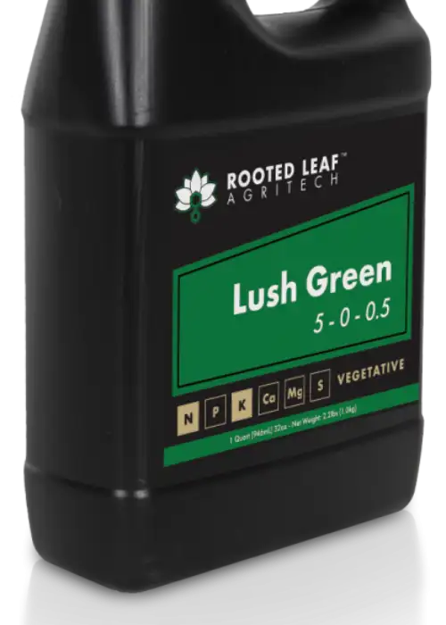 Lush Green