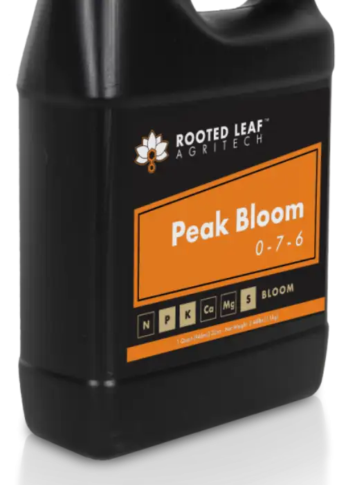 Peak Bloom