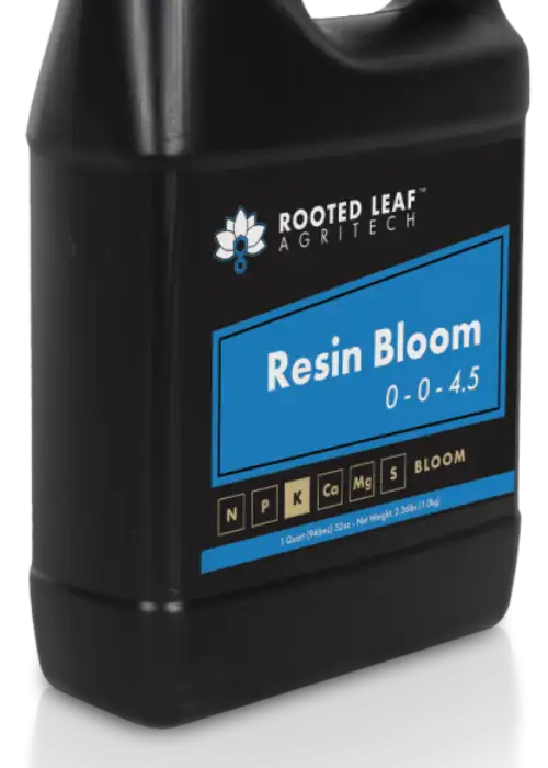 Resin Bloom