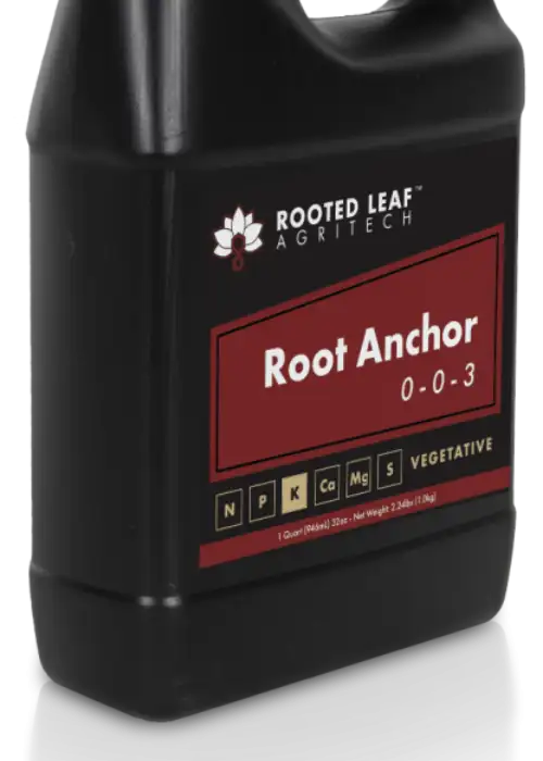 Root Anchor
