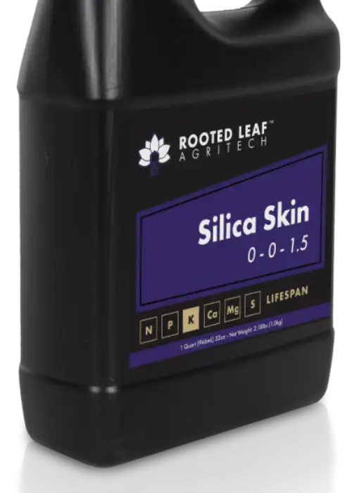 Silica Skin