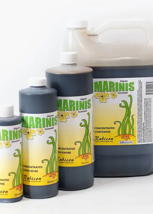 Marinis Seaweed