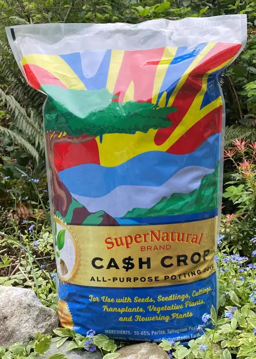 Cash Crop