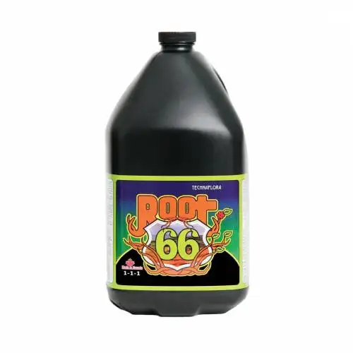 Root 66