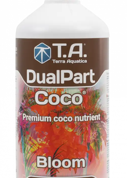 DualPart Coco Bloom
