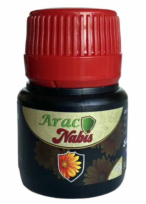 Aracnabis