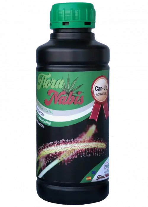 Floranabis