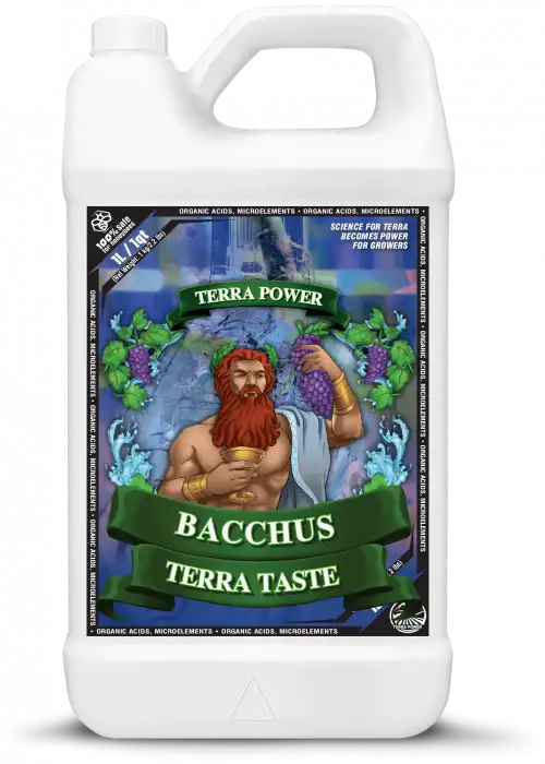 BACCHUS - TERRA TASTE