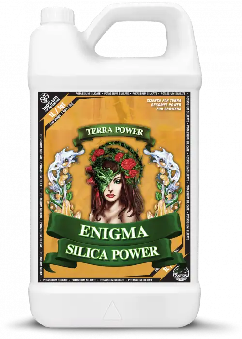ENIGMA - SILICA POWER
