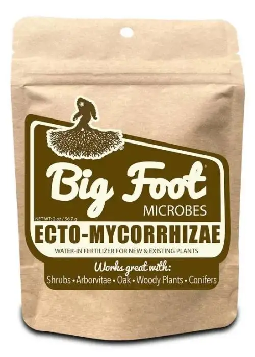 Big Foot Ecto-Mycorrhizae