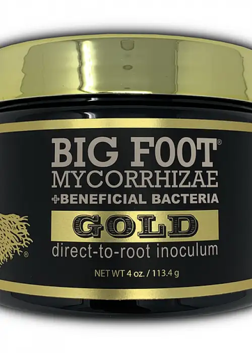 Big Foot Gold