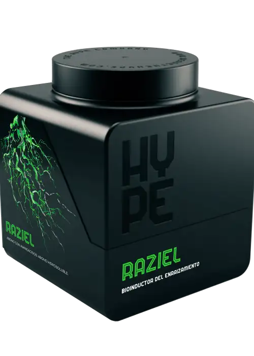 Raziel