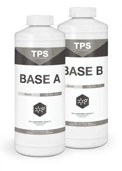 Base B