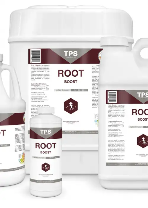 Root Boost