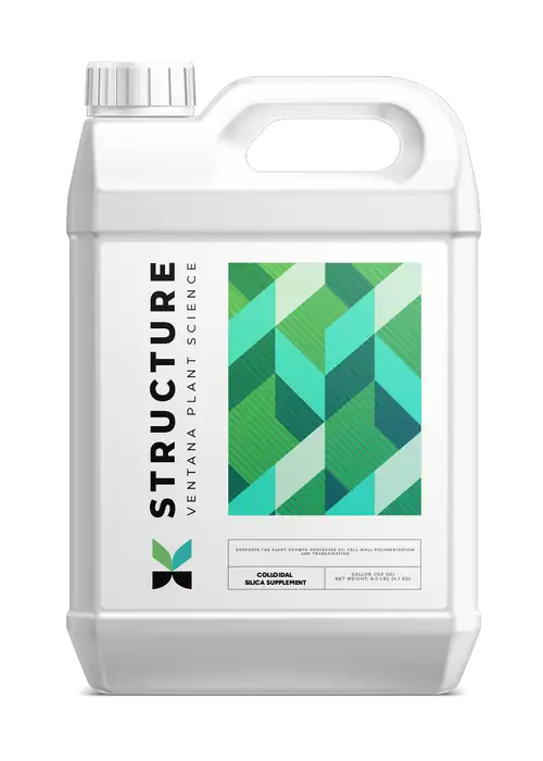 Structure (Silica)