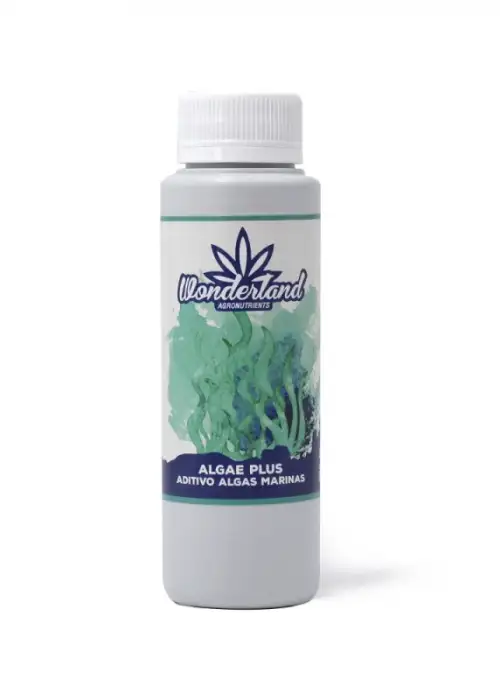 Algae Plus