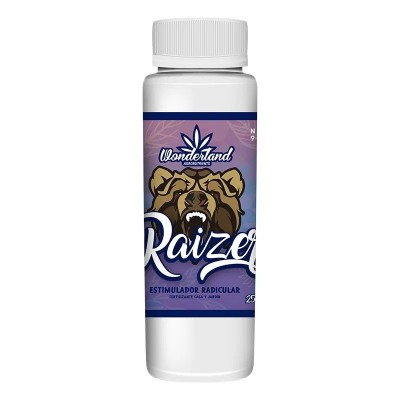 Raizer
