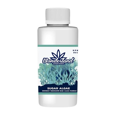 Sugar Algae