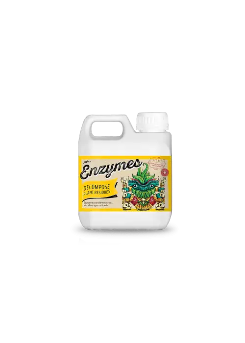 Enzymes