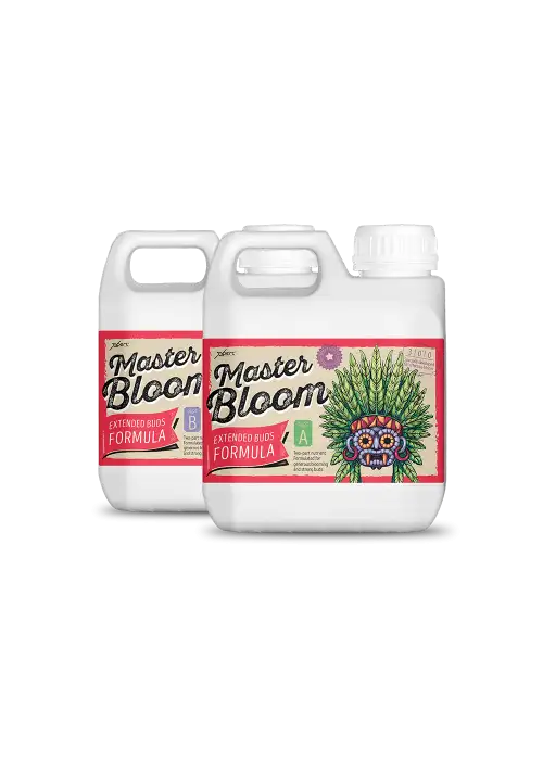 Master Bloom