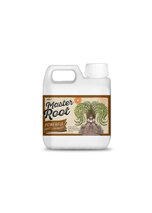 Master Root
