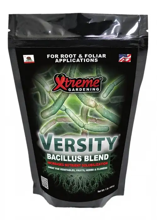 Versity