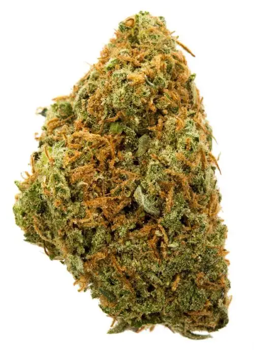Orange Zkittlez by 3rd Gen Family, Photoperiod cannabis strain