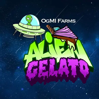 Alien Gelato by Og Michigan Farm Seeds cannabis strain