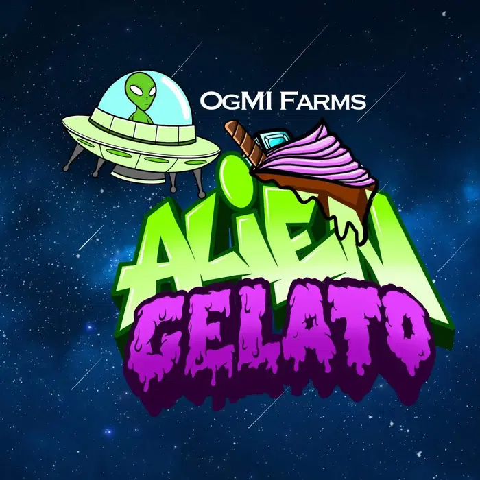 Alien Gelato by Og Michigan Farm Seeds cannabis strain
