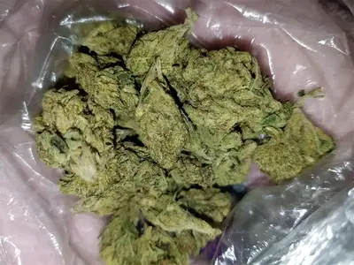 Alpha Og by Alpha Medic cannabis strain