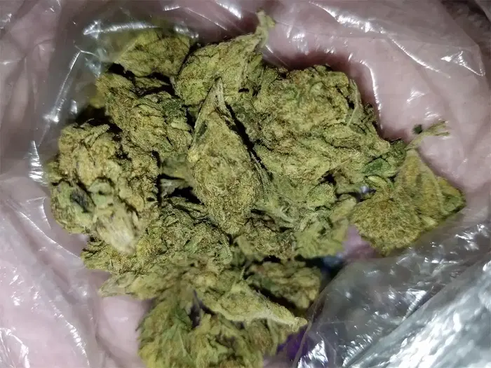 Alpha Og by Alpha Medic cannabis strain