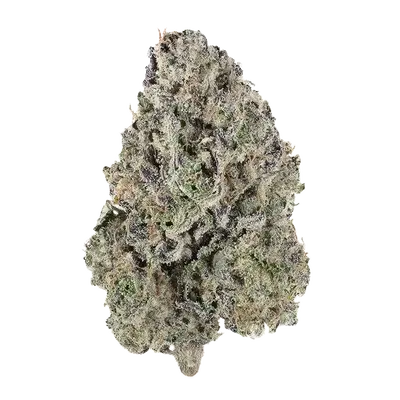 Angel'S Rest by Offensive Selections cannabis strain