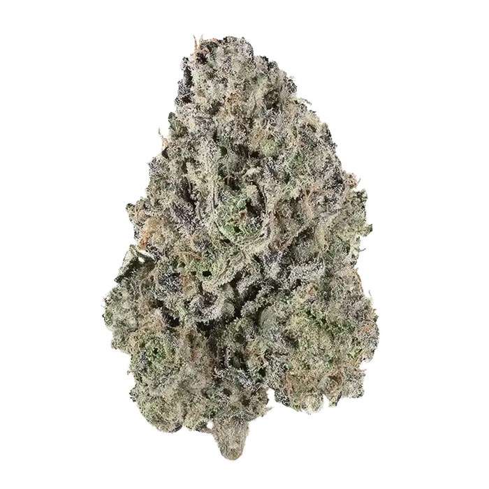 Angel'S Rest by Offensive Selections cannabis strain