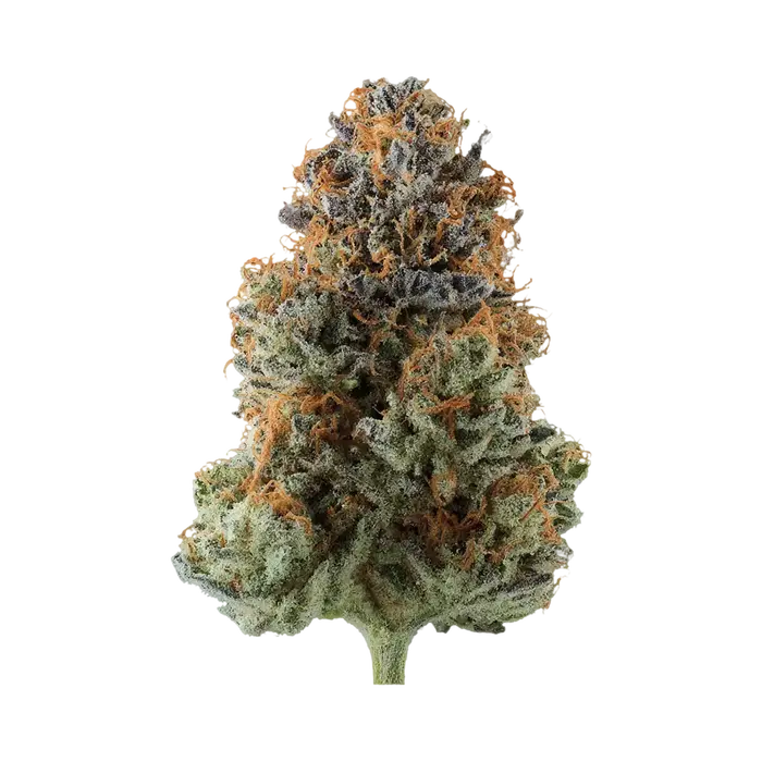 Apple Jacks by Common Wealth Seed Co cannabis strain