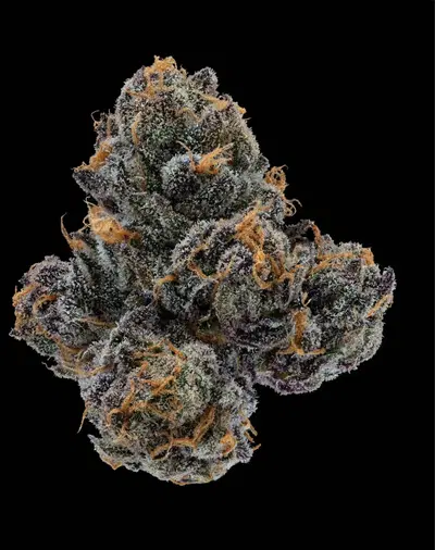 Apres by Tahoe Nugz cannabis strain