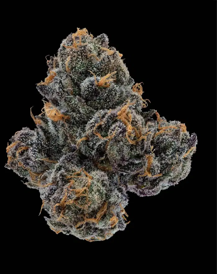 Apres by Tahoe Nugz cannabis strain
