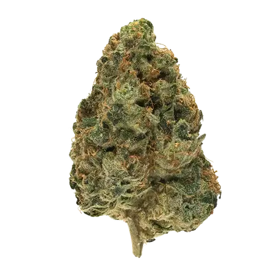 Atliens by High Grade Selections cannabis strain