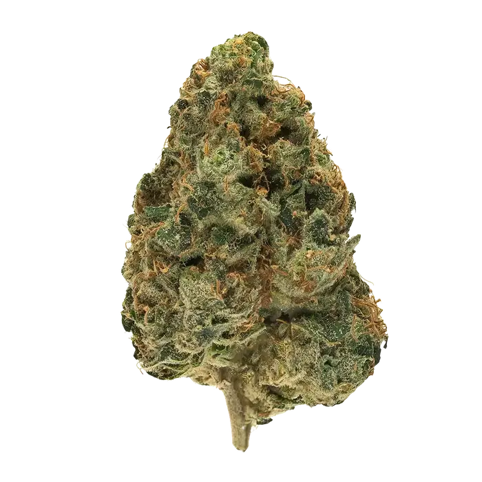 Atliens by High Grade Selections cannabis strain