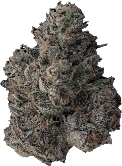 Big Head by Tahoe Nugz cannabis strain