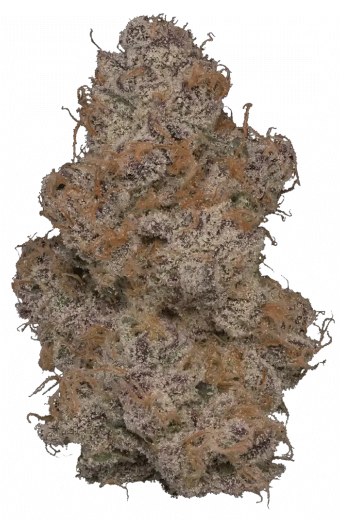 Big Sur by Tahoe Nugz cannabis strain