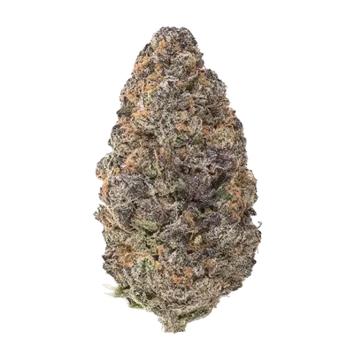 Black Cat by Offensive Selections cannabis strain