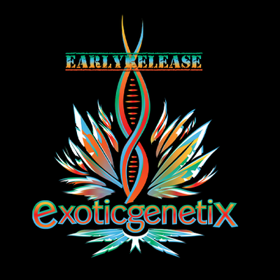 Blonuts by Exotic Genetix cannabis strain